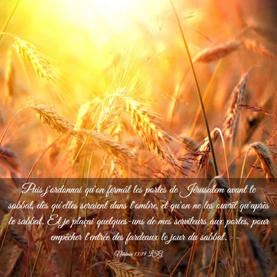 Picture 03 - Néhémie 13:19 LSG - Puis j'ordonnai qu'on fermât les portes de - Bible Verse Picture