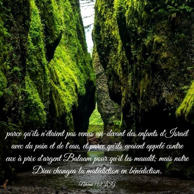 Picture 03 - Néhémie 13:2 LSG - parce qu'ils n'étaient pas venus au-devant des - Bible Verse Picture