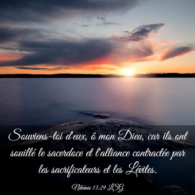 Picture 03 - Néhémie 13:29 LSG - Souviens-toi d'eux, ô mon Dieu, car ils ont - Bible Verse Picture