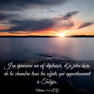 Picture 03 - Néhémie 13:8 LSG - J'en éprouvai un vif déplaisir, et je jetai - Bible Verse Picture