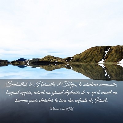 Picture 03 - Néhémie 2:10 LSG - Sanballat, le Horonite, et Tobija, le serviteur - Bible Verse Picture