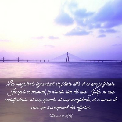 Picture 03 - Néhémie 2:16 LSG - Les magistrats ignoraient où j'étais allé, et - Bible Verse Picture