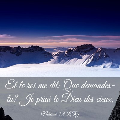 Picture 03 - Néhémie 2:4 LSG - Et le roi me dit: Que demandes-tu? Je priai le - Bible Verse Picture