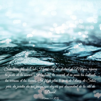Picture 03 - Néhémie 3:15 LSG - Schallum, fils de Col-Hozé, chef du district de - Bible Verse Picture