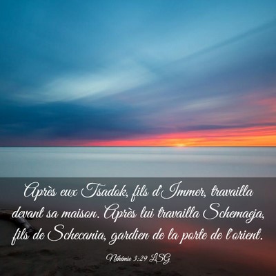 Picture 03 - Néhémie 3:29 LSG - Après eux Tsadok, fils d'Immer, travailla devant - Bible Verse Picture