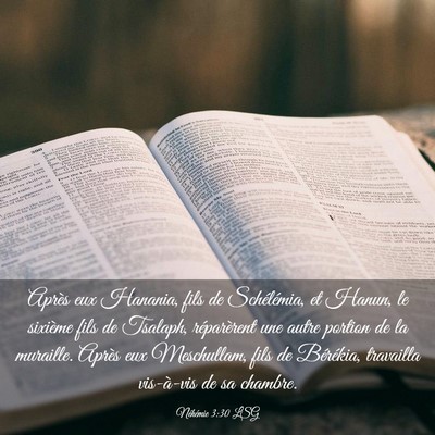 Picture 03 - Néhémie 3:30 LSG - Après eux Hanania, fils de Schélémia, et - Bible Verse Picture