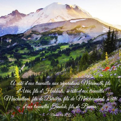 Picture 03 - Néhémie 3:4 LSG - A côté d'eux travailla aux réparations - Bible Verse Picture