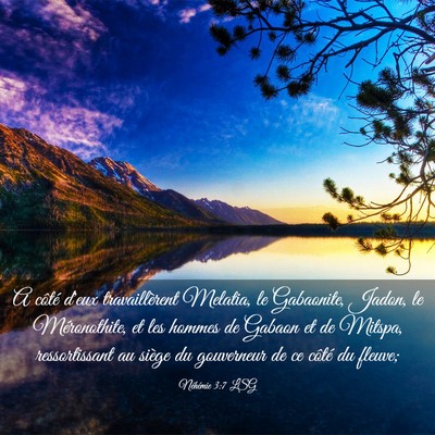 Picture 03 - Néhémie 3:7 LSG - A côté d'eux travaillèrent Melatia, le - Bible Verse Picture