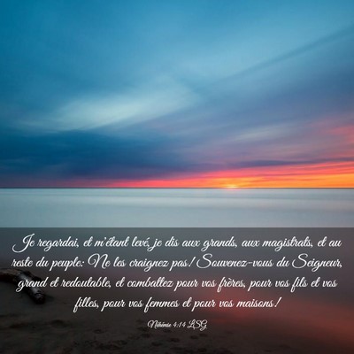 Picture 03 - Néhémie 4:14 LSG - Je regardai, et m'étant levé, je dis aux - Bible Verse Picture