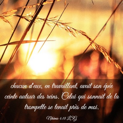 Picture 03 - Néhémie 4:18 LSG - chacun d'eux, en travaillant, avait son épée - Bible Verse Picture