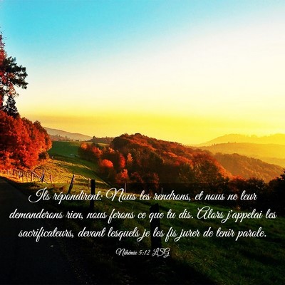 Picture 03 - Néhémie 5:12 LSG - Ils répondirent: Nous les rendrons, et nous ne - Bible Verse Picture