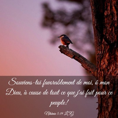 Picture 03 - Néhémie 5:19 LSG - Souviens-toi favorablement de moi, ô mon Dieu, - Bible Verse Picture