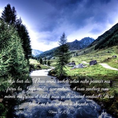 Picture 03 - Néhémie 5:8 LSG - et je leur dis: Nous avons racheté selon notre - Bible Verse Picture