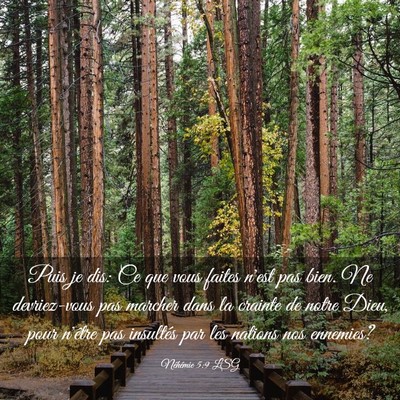 Picture 03 - Néhémie 5:9 LSG - Puis je dis: Ce que vous faites n'est pas bien. - Bible Verse Picture