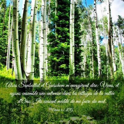 Picture 03 - Néhémie 6:2 LSG - Alors Sanballat et Guéschem m'envoyèrent dire: - Bible Verse Picture