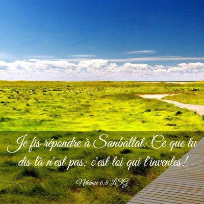 Picture 03 - Néhémie 6:8 LSG - Je fis répondre à Sanballat: Ce que tu dis là - Bible Verse Picture