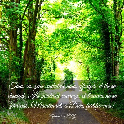 Picture 03 - Néhémie 6:9 LSG - Tous ces gens voulaient nous effrayer, et ils se - Bible Verse Picture