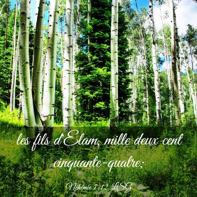 Picture 03 - Néhémie 7:12 LSG - les fils d'Elam, mille deux cent - Bible Verse Picture
