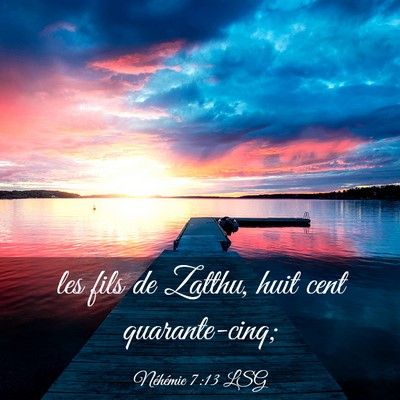 Picture 03 - Néhémie 7:13 LSG - les fils de Zatthu, huit cent - Bible Verse Picture