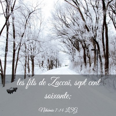 Picture 03 - Néhémie 7:14 LSG - les fils de Zaccaï, sept cent - Bible Verse Picture