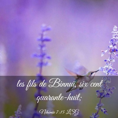 Picture 03 - Néhémie 7:15 LSG - les fils de Binnuï, six cent - Bible Verse Picture