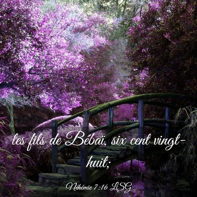 Picture 03 - Néhémie 7:16 LSG - les fils de Bébaï, six cent - Bible Verse Picture