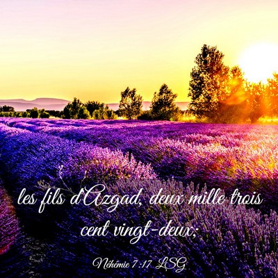 Picture 03 - Néhémie 7:17 LSG - les fils d'Azgad, deux mille trois cent - Bible Verse Picture