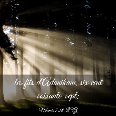 Picture 03 - Néhémie 7:18 LSG - les fils d'Adonikam, six cent - Bible Verse Picture