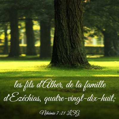 Picture 03 - Néhémie 7:21 LSG - les fils d'Ather, de la famille d'Ezéchias, - Bible Verse Picture