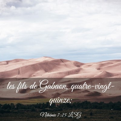 Picture 03 - Néhémie 7:25 LSG - les fils de Gabaon, - Bible Verse Picture