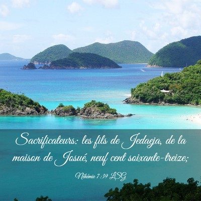 Picture 03 - Néhémie 7:39 LSG - Sacrificateurs: les fils de Jedaeja, de la maison - Bible Verse Picture