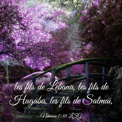 Picture 03 - Néhémie 7:48 LSG - les fils de Lebana, les fils de Hagaba, les fils - Bible Verse Picture
