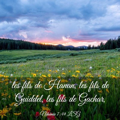 Picture 03 - Néhémie 7:49 LSG - les fils de Hanan, les fils de Guiddel, les fils - Bible Verse Picture