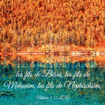 Picture 03 - Néhémie 7:52 LSG - les fils de Bésaï, les fils de Mehunim, les - Bible Verse Picture