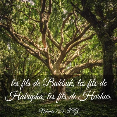 Picture 03 - Néhémie 7:53 LSG - les fils de Bakbuk, les fils de Hakupha, les fils - Bible Verse Picture