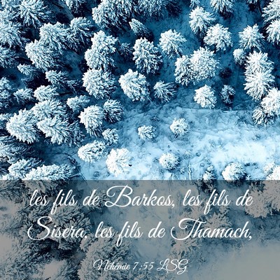 Picture 03 - Néhémie 7:55 LSG - les fils de Barkos, les fils de Sisera, les fils - Bible Verse Picture