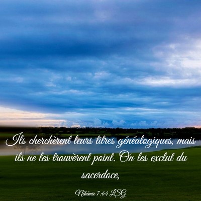 Picture 03 - Néhémie 7:64 LSG - Ils cherchèrent leurs titres généalogiques, - Bible Verse Picture