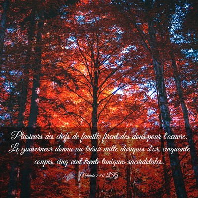 Picture 03 - Néhémie 7:70 LSG - Plusieurs des chefs de famille firent des dons - Bible Verse Picture