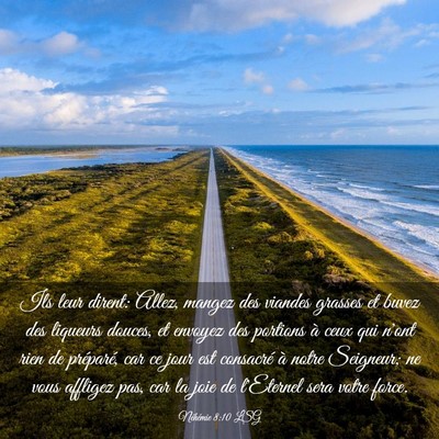 Picture 03 - Néhémie 8:10 LSG - Ils leur dirent: Allez, mangez des viandes - Bible Verse Picture