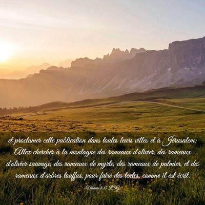 Picture 03 - Néhémie 8:15 LSG - et proclamer cette publication dans toutes leurs - Bible Verse Picture
