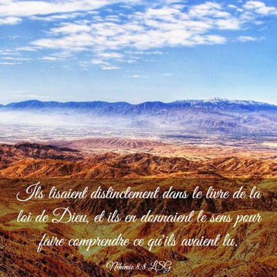 Picture 03 - Néhémie 8:8 LSG - Ils lisaient distinctement dans le livre de la - Bible Verse Picture