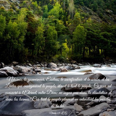 Picture 03 - Néhémie 8:9 LSG - Néhémie, le gouverneur, Esdras, le - Bible Verse Picture