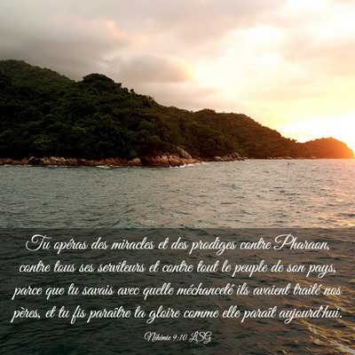 Picture 03 - Néhémie 9:10 LSG - Tu opéras des miracles et des prodiges contre - Bible Verse Picture