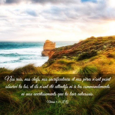 Picture 03 - Néhémie 9:34 LSG - Nos rois, nos chefs, nos sacrificateurs et nos - Bible Verse Picture