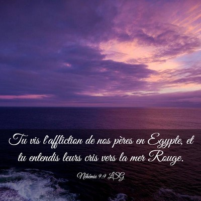 Picture 03 - Néhémie 9:9 LSG - Tu vis l'affliction de nos pères en Egypte, et - Bible Verse Picture