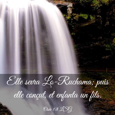 Picture 03 - Osée 1:8 LSG - Elle sevra Lo-Ruchama; puis elle conçut, et - Bible Verse Picture