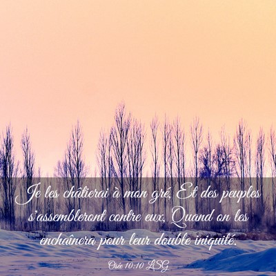 Picture 03 - Osée 10:10 LSG - Je les châtierai à mon gré, Et des peuples - Bible Verse Picture