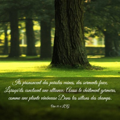 Picture 03 - Osée 10:4 LSG - Ils prononcent des paroles vaines, des serments - Bible Verse Picture