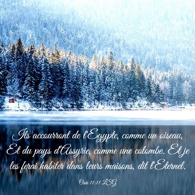Picture 03 - Osée 11:11 LSG - Ils accourront de l'Egypte, comme un oiseau, Et - Bible Verse Picture