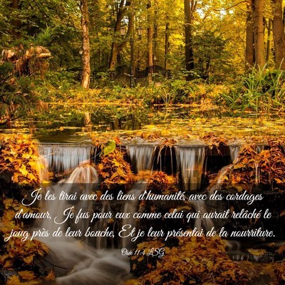 Picture 03 - Osée 11:4 LSG - Je les tirai avec des liens d'humanité, avec des - Bible Verse Picture